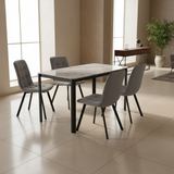 طقم طاولة طعام  4 كراسي DT - 301 + 602